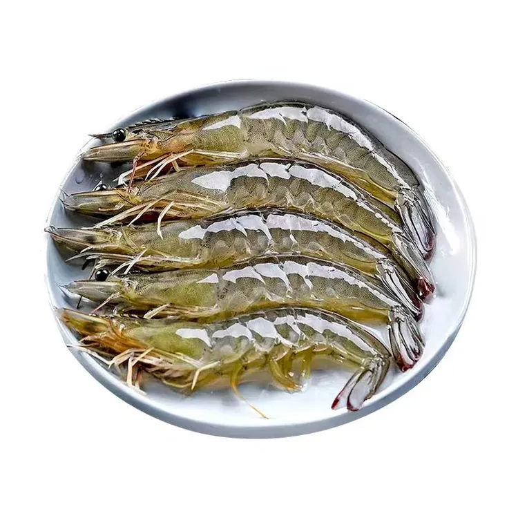 【贺校长专属】3斤 特大号虾15/20大连复州湾盐田虾  鲜活速冻包邮