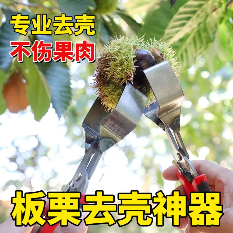 剥板栗刺球神器栗子外壳去皮毛夹脱蓬器开口超省力拨板栗开壳工具