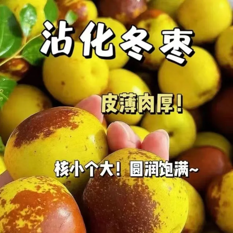【现货速发】山东沾化冬枣新鲜甜脆孕妇水果批发枣子青枣冰糖冬枣