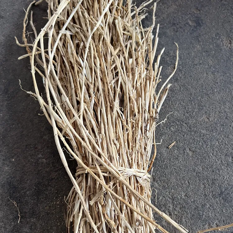 福建连城白毛竹根可煲汤煮水喝