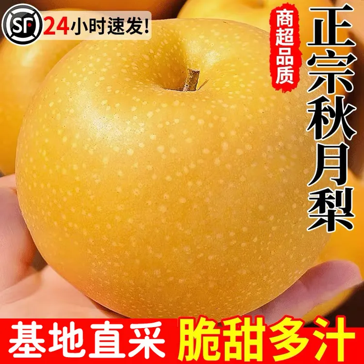 正宗山东莱阳秋月梨10斤中秋礼盒脆甜多汁应季水果