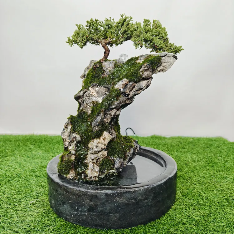 青龙石假山盆景，尺寸：直径25*35