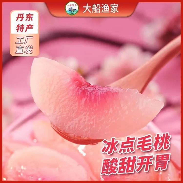大船渔家丹东特产冰点大毛桃酸甜适中350g/罐 一箱4罐