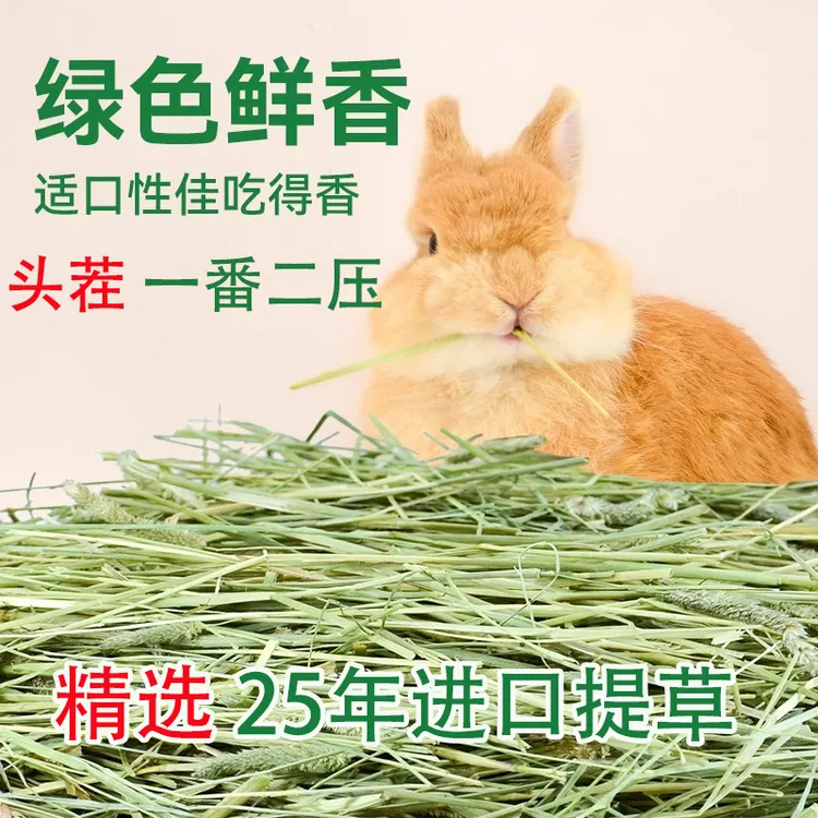2025新到特优级美提一番提摩西草干草兔子龙猫豚鼠荷兰猪进口牧草