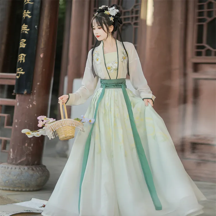 2025新款宋制夏秋季女成人印花中国风飘逸古风新中式汉服日常可穿