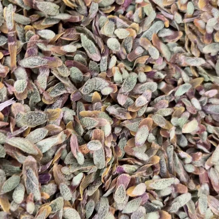 正宗产地铁皮石斛切片方便食用泡茶煲汤佳品