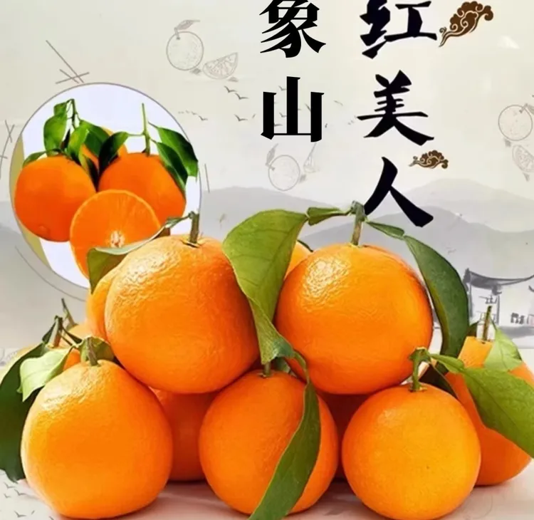 象山红美人原产地