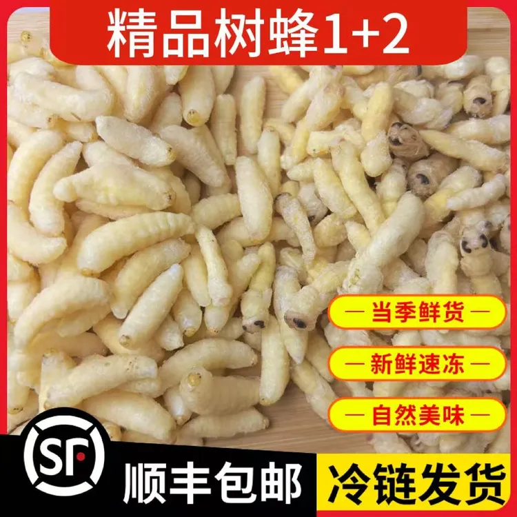 树蜂1+2蜂蛹新鲜速冻蜂蛹今年新货马蜂胡蜂葫芦蜂