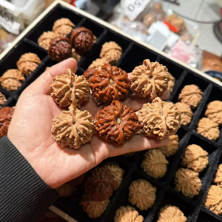 全品苹果园狮子头 尺寸可选