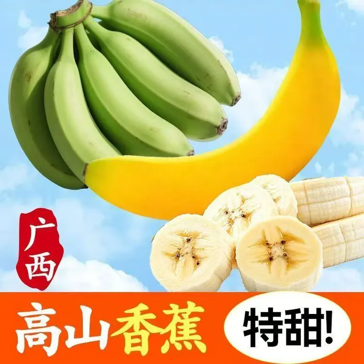 广西高山香蕉绿皮香蕉自然熟当季单根网套新鲜水果现摘现发健康