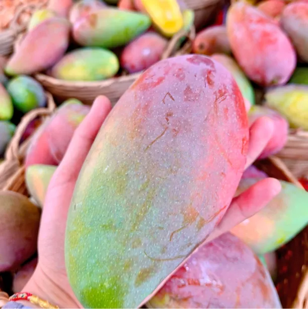 永德红贵妃 软糯清甜  颜值高