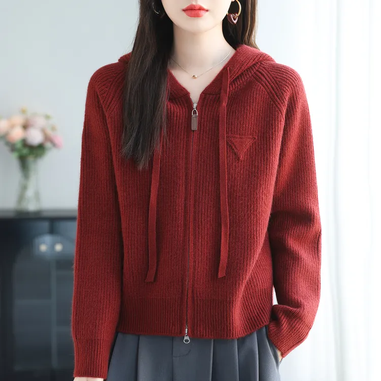 短款外套女休闲百搭秋装上衣2025年新款时髦洋气连帽针织开衫大码