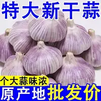 【买3送2】2025年新鲜大蒜正宗山东紫皮干大蒜紫皮（净重2.25kg）