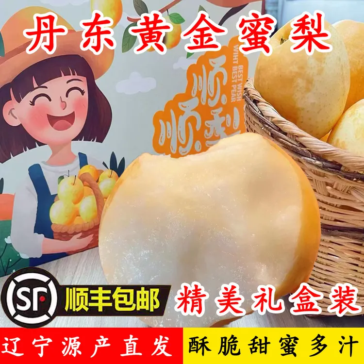 丹东蜜梨黄金蜜梨冰糖雪梨爆汁金秋梨水晶梨现摘现发应季水果