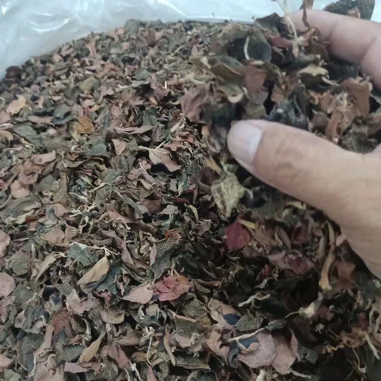 佛冈时时好运农产品金线莲纯叶片100克干品