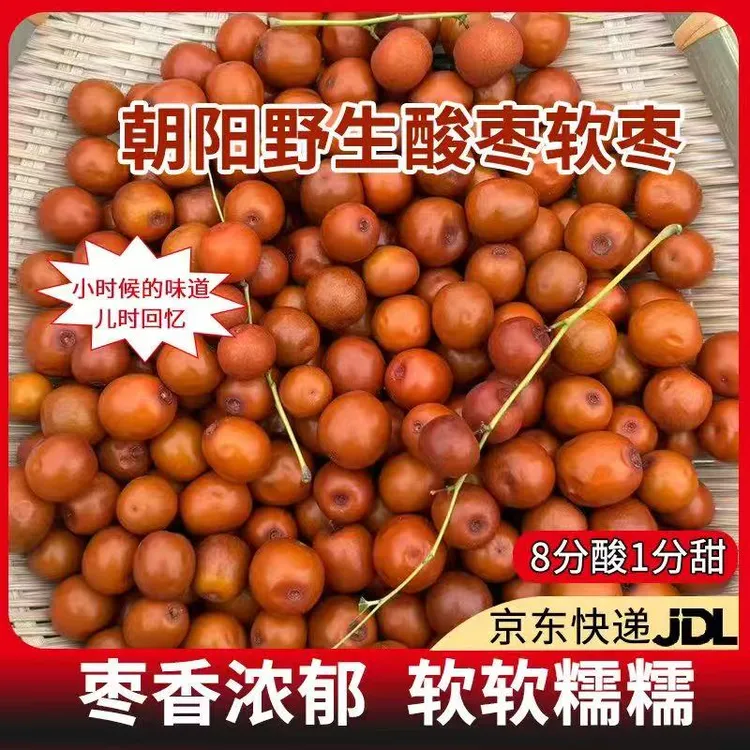 25年东北朝阳野生山枣软软糯糯8酸1分甜小酸枣孕妇解馋京东包邮