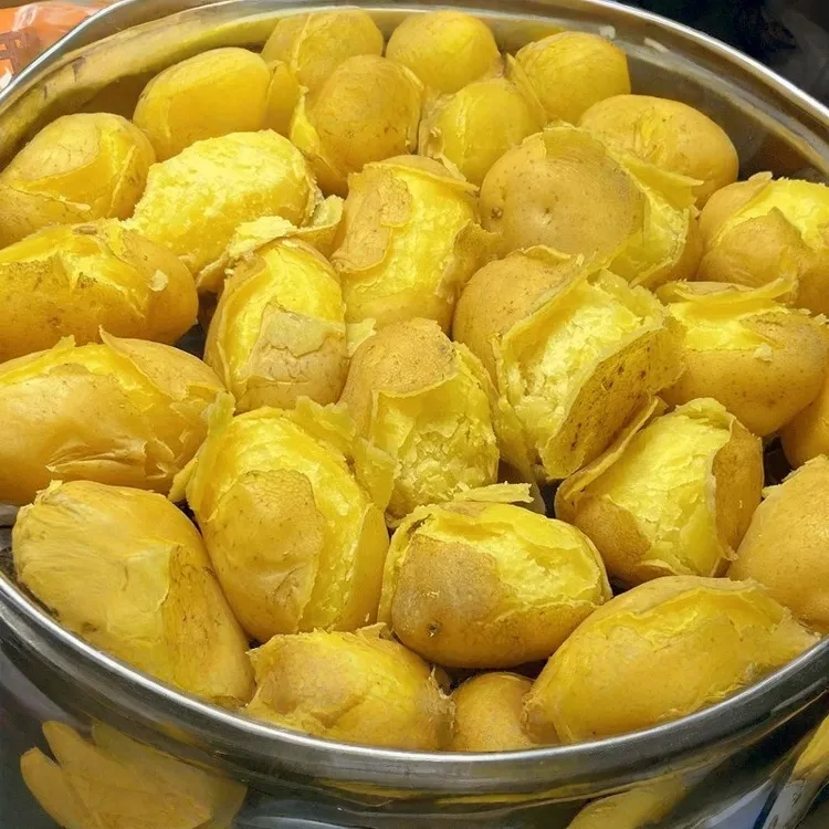 2025甘肃定西黄皮黄心土豆新鲜现挖沙面细腻适合炖肉炒菜高原土豆