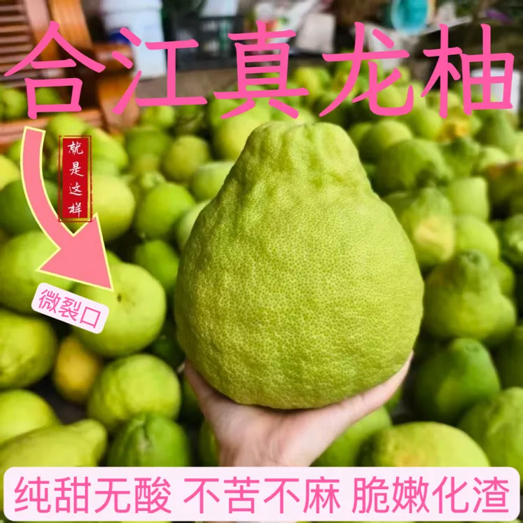 「次果」四川泸州合江真龙柚纯甜多汁柚子新鲜水果白心柚非沙田柚