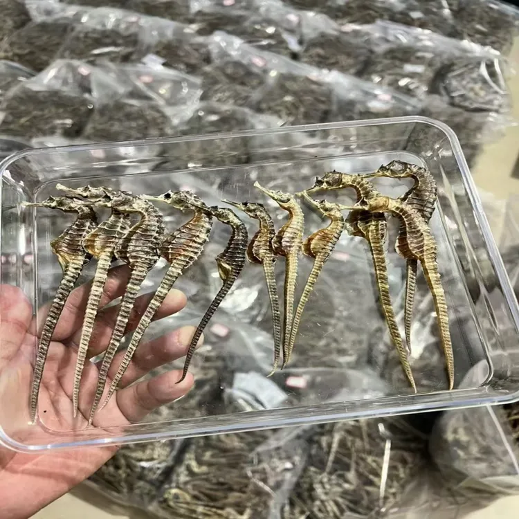 海干货马馬干可泡酒煲汤磨粉公母搭配有溯源码
