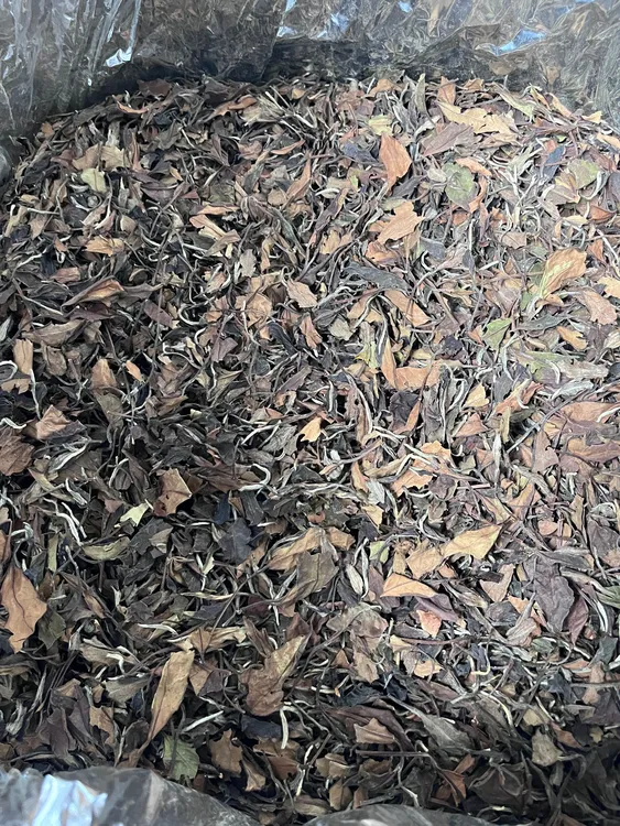 2018年管阳高杆老白茶