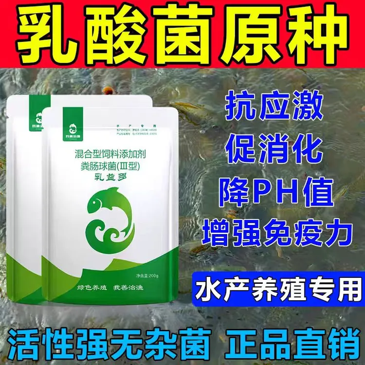 乳酸菌水产养殖专用发酵菌种乳益多鱼塘水质净化剂降解蓝藻PH值