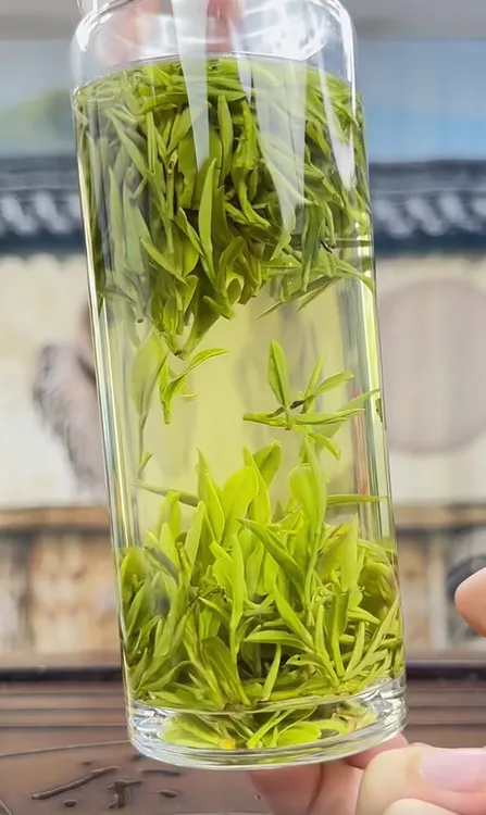 汤池兰花老品种土种兰花茶浓香耐泡