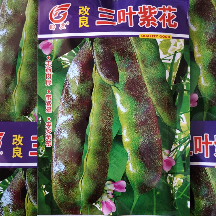 三叶紫花油豆角籽50克