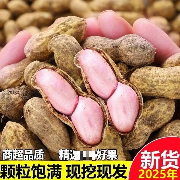 25年新鲜现挖带壳湿花生农家自种3-5斤可水煮生吃粉皮花生新鲜鲜