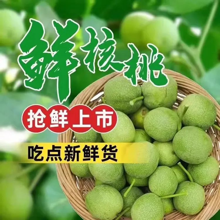 2025新鲜湿核桃带青皮湿嫩生核桃现摘绿薄皮核桃仁老树纸皮鲜核桃