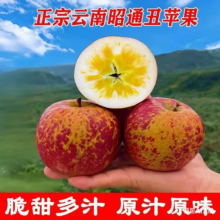 正宗云南昭通冰糖心丑苹果脆甜多汁新鲜当季红富士水果现摘现发