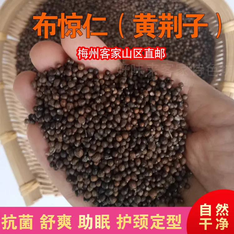 黄荆子枕头填充物枕芯布惊籽布惊仁黄金子睡头枕荆棵荆种子黄金籽
