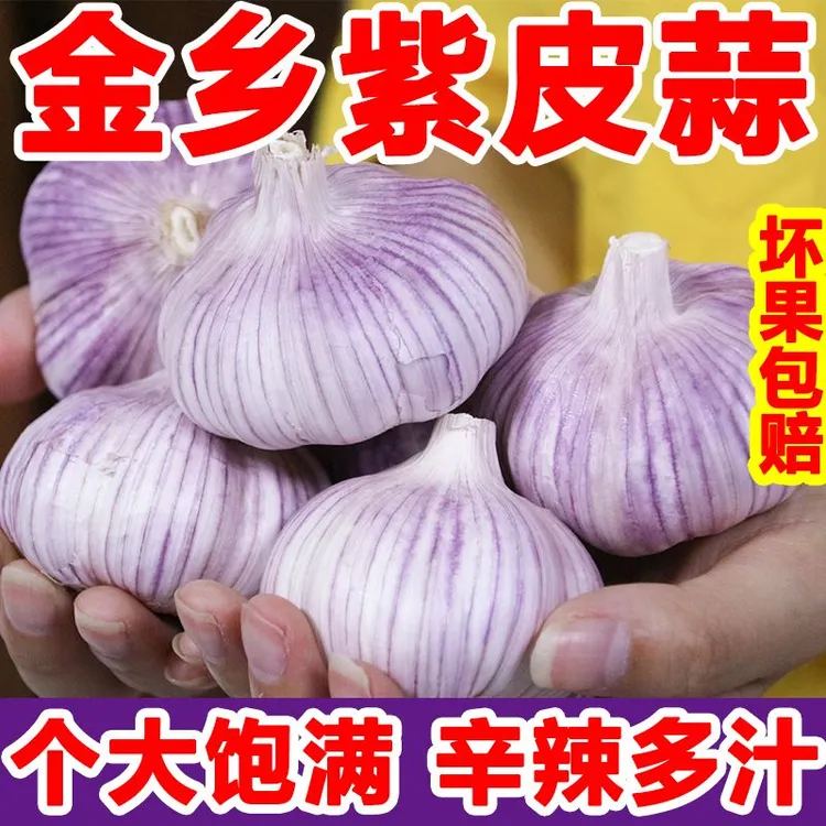【3斤特大果】特大号干大蒜紫白皮新干蒜便宜经济实惠调味家用批发