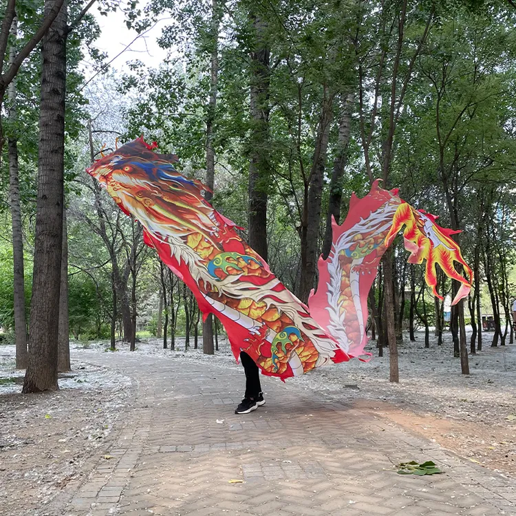 硕润 广场健身舞龙彩带绸缎加厚一体尾不锈钢龙头全套