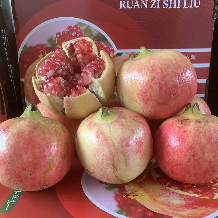 秭归 软籽石榴 果粒饱满 鲜甜多汁 不用吐籽 新鲜上市 现摘现发