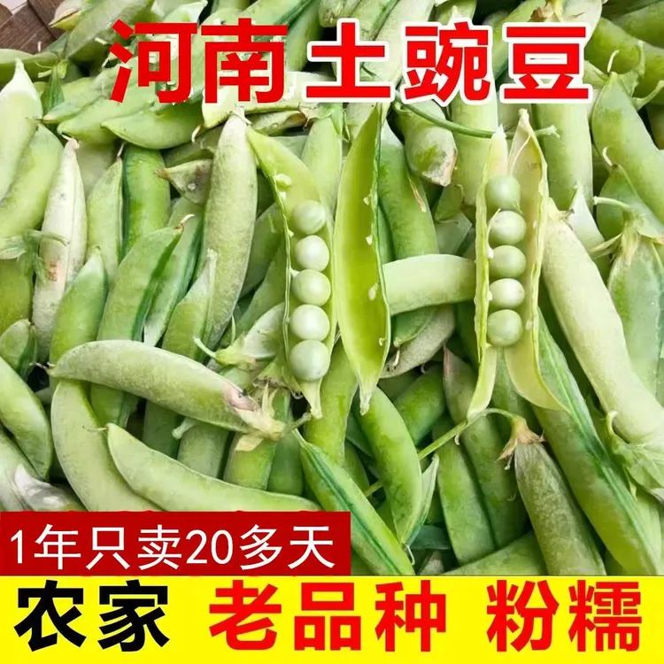 豌豆角新鲜河南豌豆豌豆荚现摘农家水果自种带壳青豆应季蔬菜