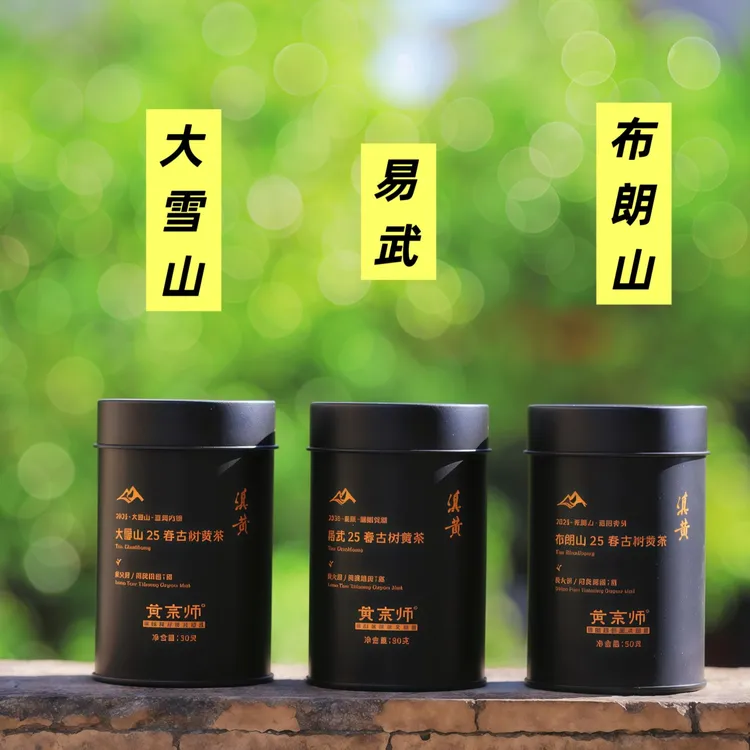 滇黄云南古树黄茶易武大雪山布朗山传统闷黄工艺龙珠50克罐装