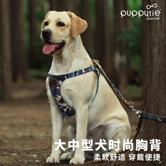 Puppytie狗狗牵引绳胸背带中型犬大型犬遛狗绳防挣脱宠物用品金毛