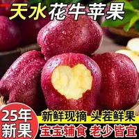 甘肃天水花牛苹果新鲜水果脆甜粉面蛇果应季现摘包邮新鲜花牛苹果