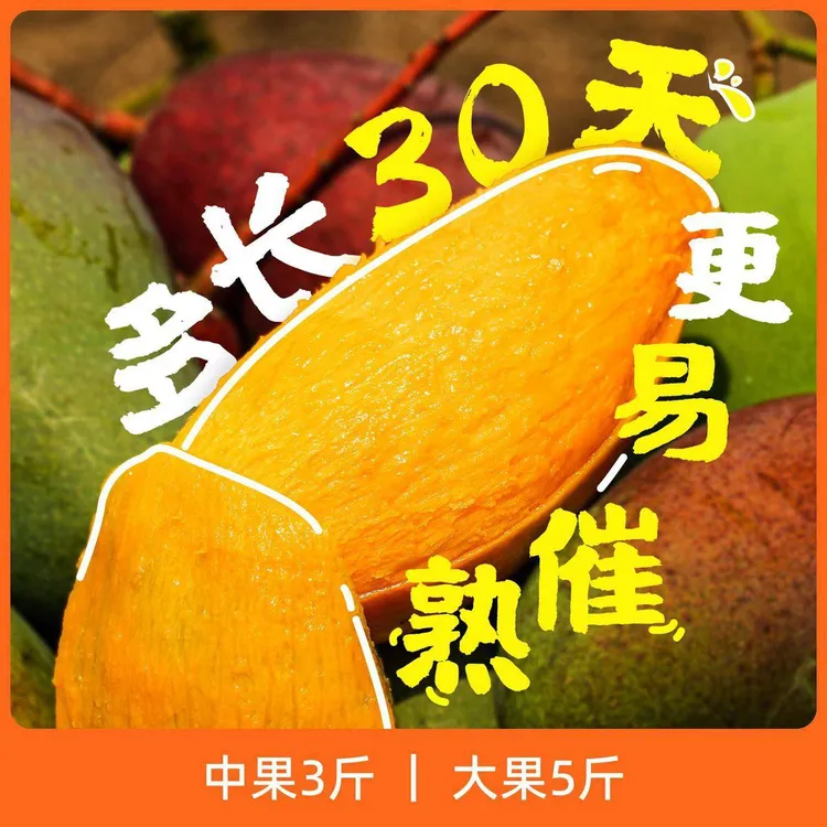 辰颐物语海南贵妃芒中果3斤装/大果5斤装