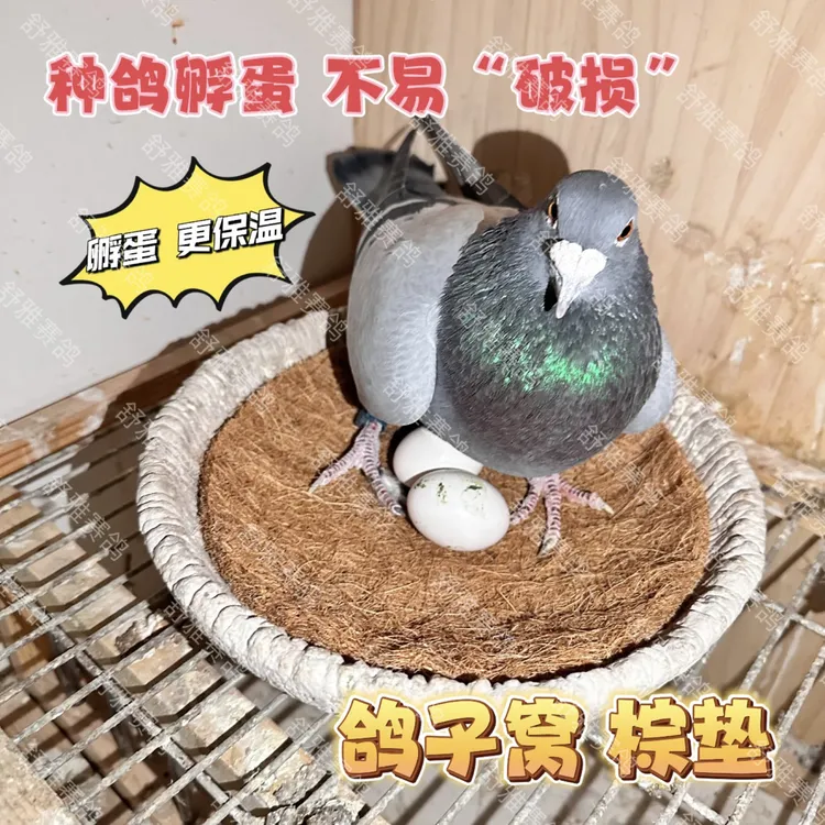 鸽子窝 加厚棕垫 草丝鸟窝鸽子 信鸽 赛鸽肉鸽幼鸽，育雏窝垫