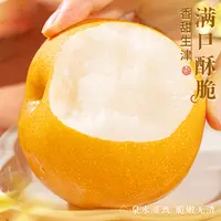 正宗山东秋月梨当季新鲜水果现摘现发冰糖脆甜爽口多汁皮薄