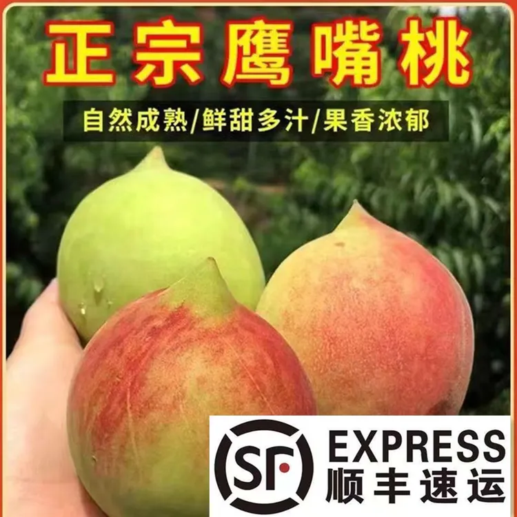 【顺丰包邮】鹰嘴桃现摘当季新鲜脆甜云南高原鹰嘴蜜桃毛桃应季水果
