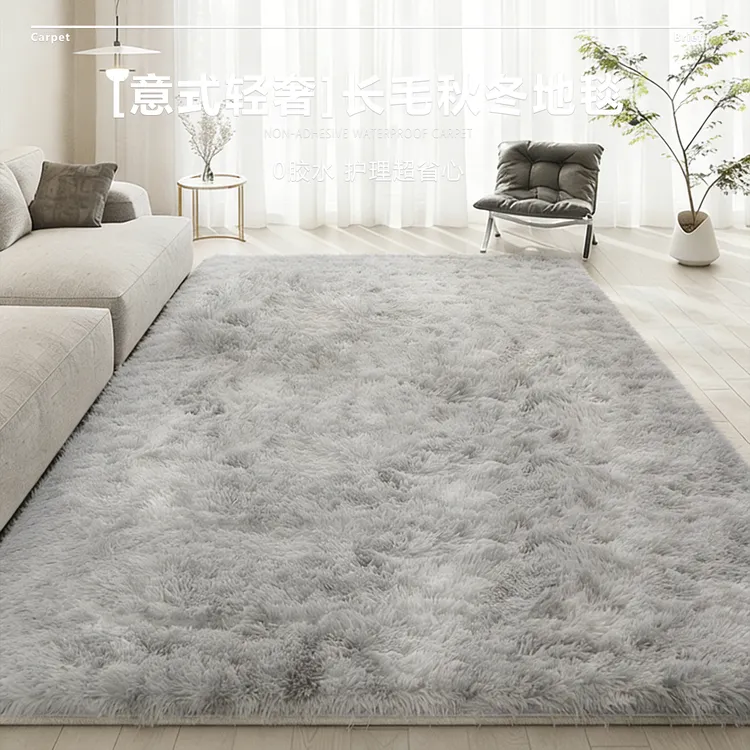 冬天地毯客厅轻奢高级2026新款长毛绒免洗加厚床边毯房间网红毛毯