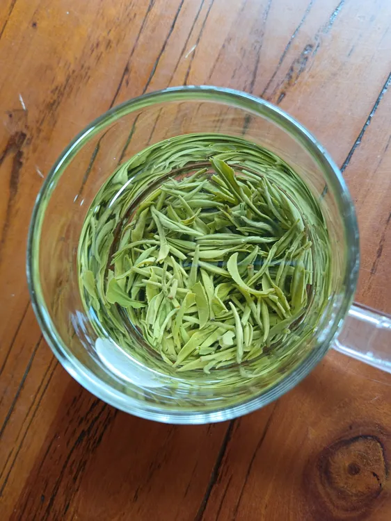 遂川汤湖2025年春季新茶江西狗牯脑绿茶明前贡品鲜醇甘甜清香