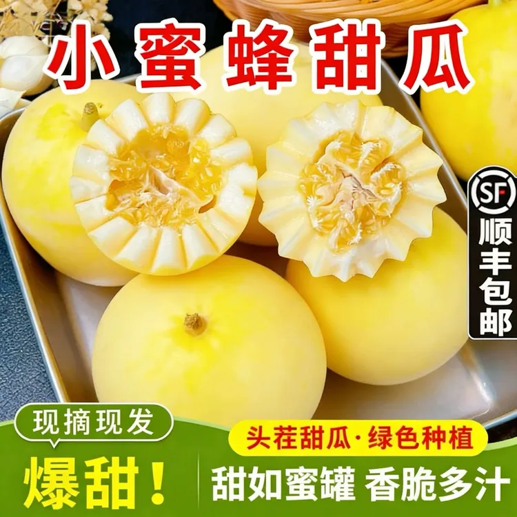 【顺丰包邮】山东头茬小蜜蜂甜瓜小蜜罐早脆甜现摘现发香甜美味新鲜