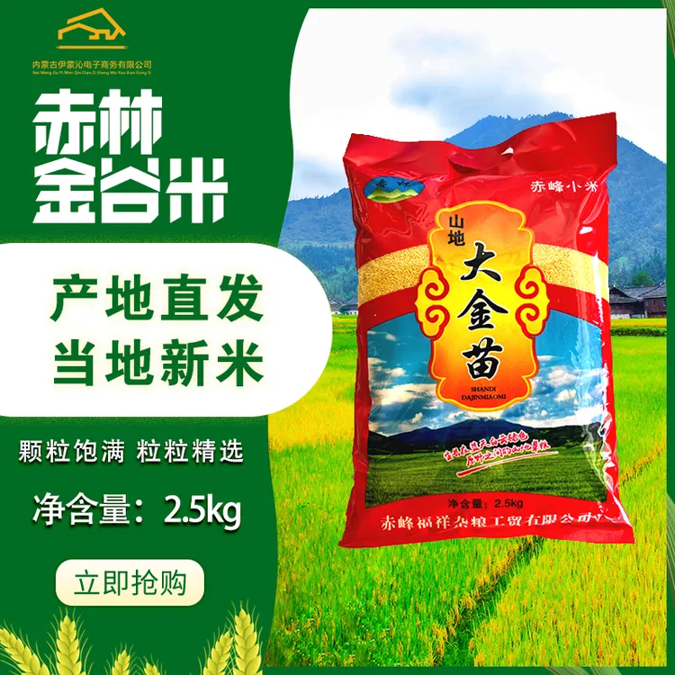赤林大金苗黄小米2.5kg内蒙古新米内蒙特产健康食品