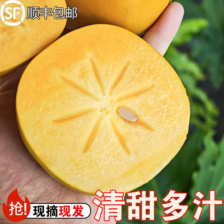 正宗太秋甜脆柿纯甜无涩广西桂林产地直发太秋脆柿柿子日常灵感