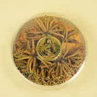 【赵麻麻精选】西藏那曲冬虫夏草2000-2100条/斤（需冷冻存储）