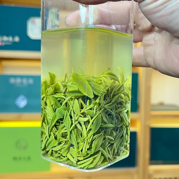 【浉河港谷雨娄头】信阳毛尖2025年毛尖嫩芽叶炒青绿茶信阳毛尖新茶