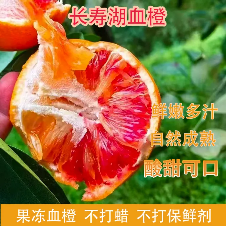 【彩箱】正宗血橙中华红血橙红橙薄皮多汁爆甜批发橙子新鲜孕妇